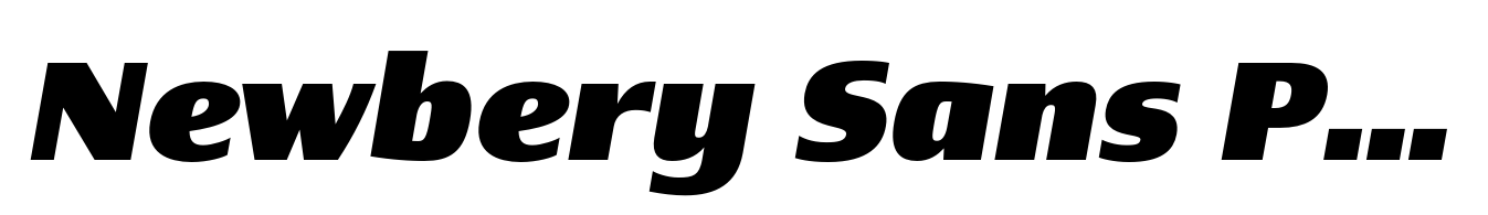 Newbery Sans Pro Xp Extra Bold Italic